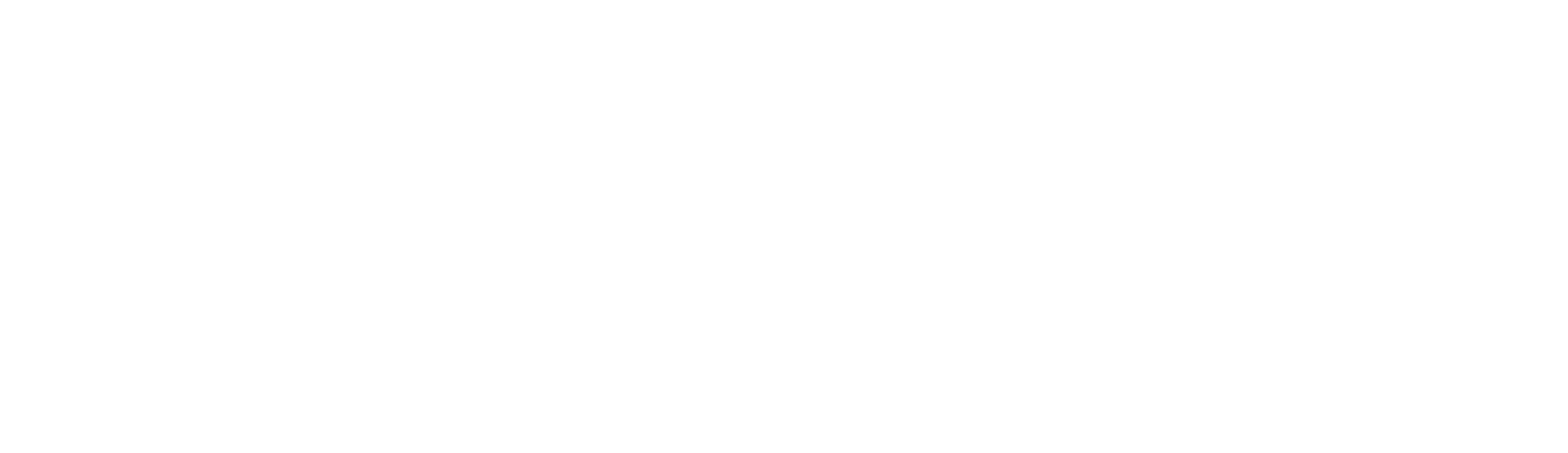 Newsec logo